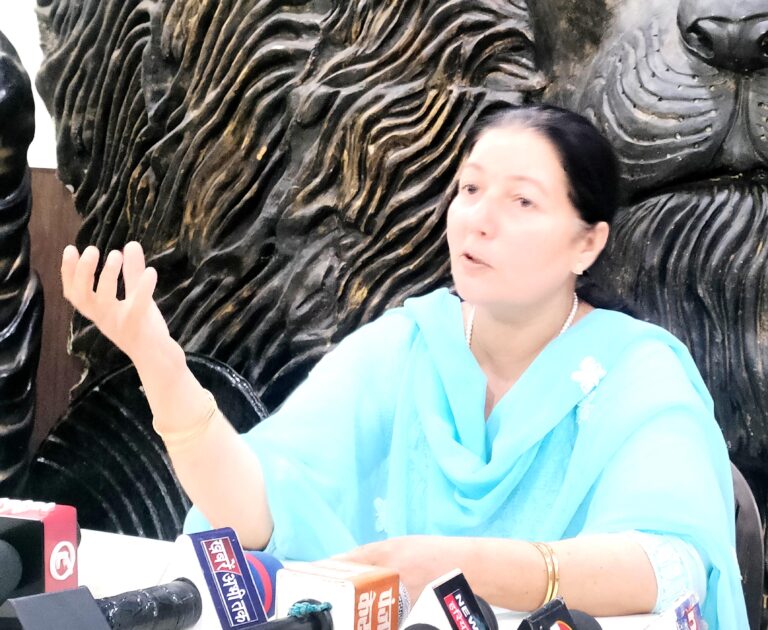 4 palwal-28